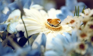 gold wedding bands on flower